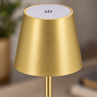Close-up of the gold lamp shade, touch symbol and twin support rods