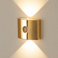 Gold rechargeable motion sensor wall light mounted and switched on against a light wall